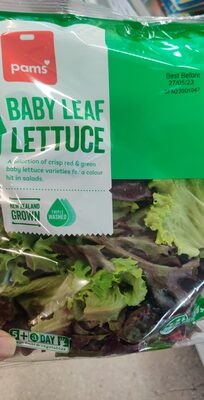 Baby leaf Lettuce