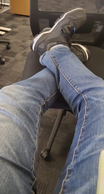 Red Seal Green Tea Lemon and Ginger