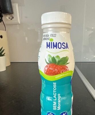 Iogurte s/ lactose morango